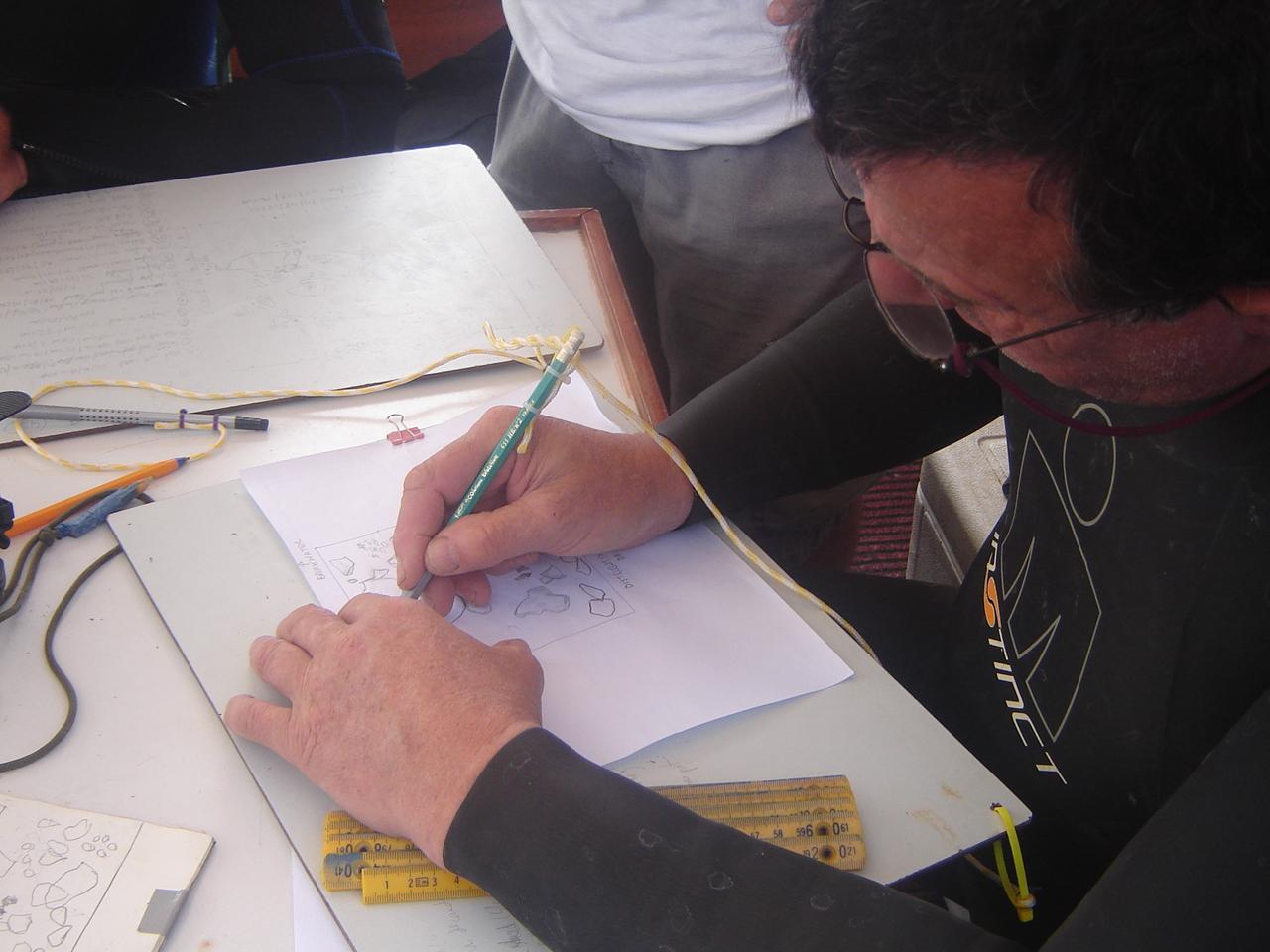 Drawing up recorded data after a dive